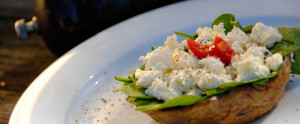 Hunter Valley Local produce, Mottys Farm Cuisine